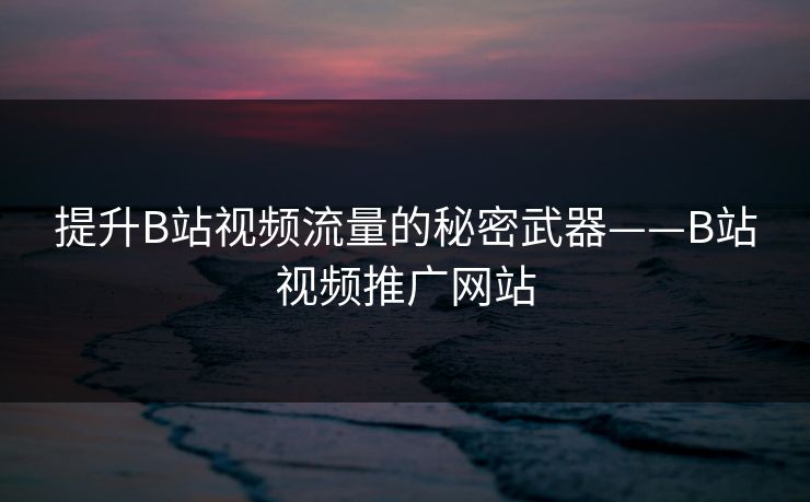 提升B站视频流量的秘密武器——B站视频推广网站