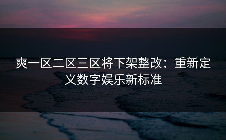 爽一区二区三区将下架整改：重新定义数字娱乐新标准